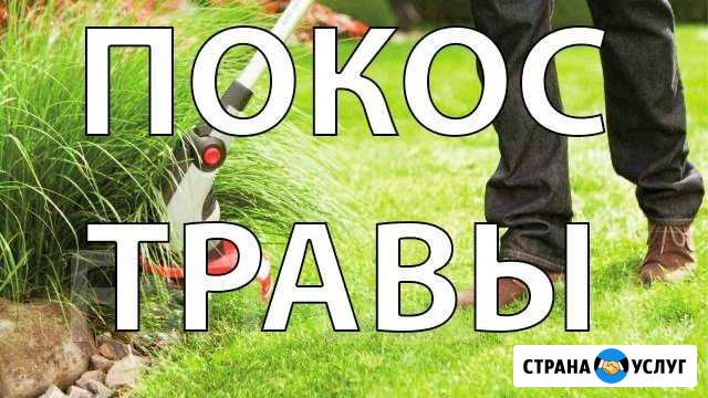 Покос травы Бор - изображение 1