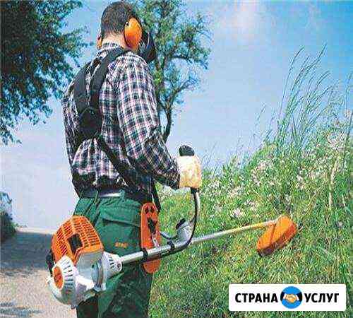 Покос травы Кострома