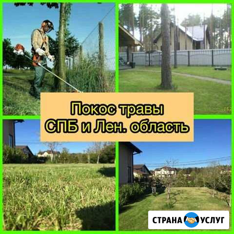 Покос травы,газона,бурьяна Санкт-Петербург - изображение 1