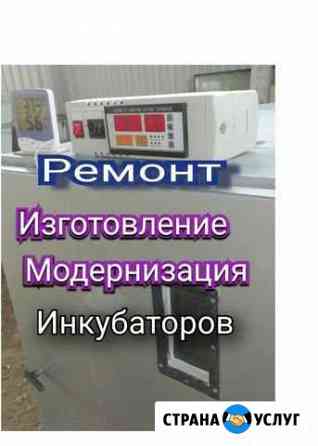 Ремонт инкубаторов Платнировская