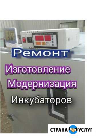 Ремонт инкубаторов Платнировская - изображение 1