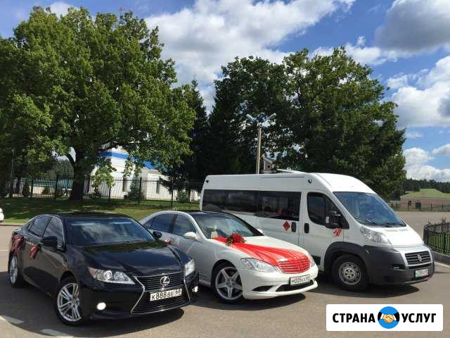 Автомобиль на свадьбу. украшения бесплатно Тамбов - изображение 1