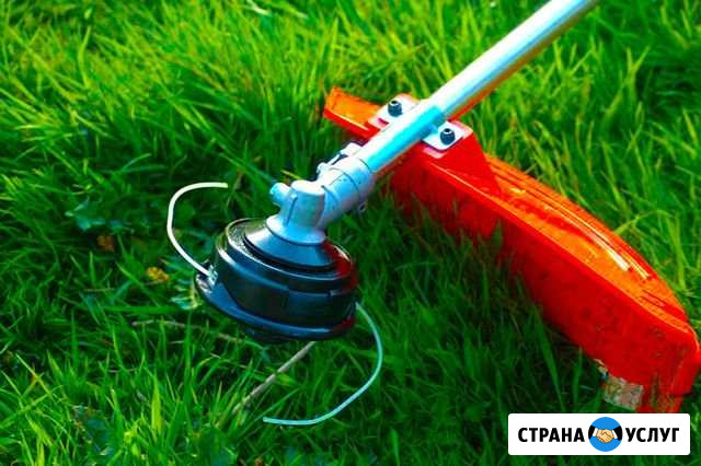 Покос травы Курган - изображение 1