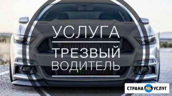 Трезвый водитель Анапа
