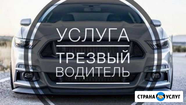 Трезвый водитель Анапа - изображение 1