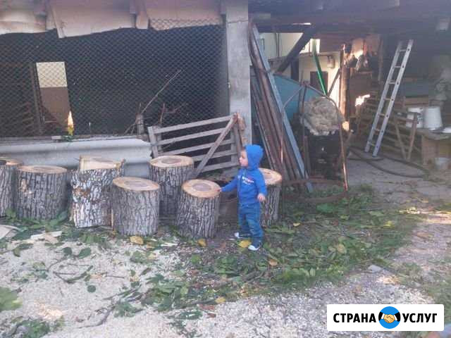 Спил деревьев профессионально Минеральные Воды - изображение 1
