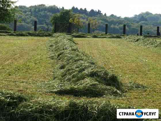Покос травы, земляные и малярные работы, уборка те Дмитров