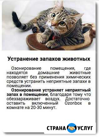 Устраним любой запах. Дезинфекция Барнаул - изображение 1