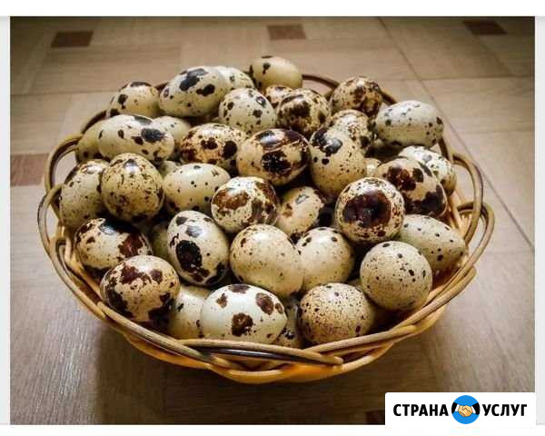 Продукты питания Ногинск - изображение 1