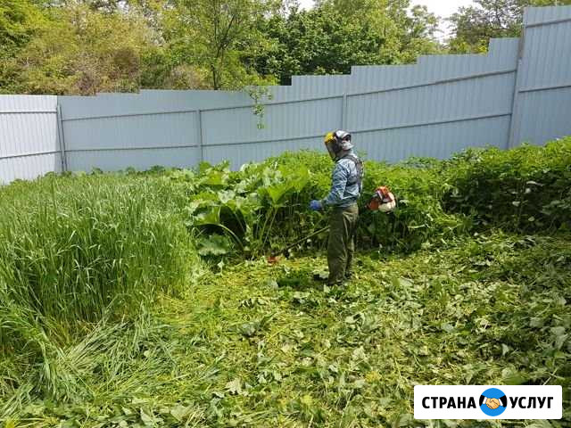 Спил дерева, Покос травы любой сложности по кмв Пятигорск - изображение 1