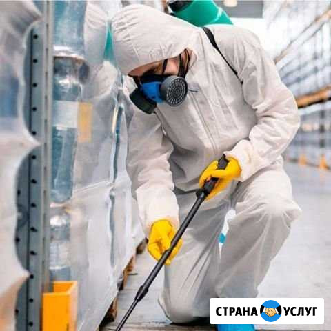 Дезинсекция.Обработка от клещей,устранение запахов Иваново - изображение 1