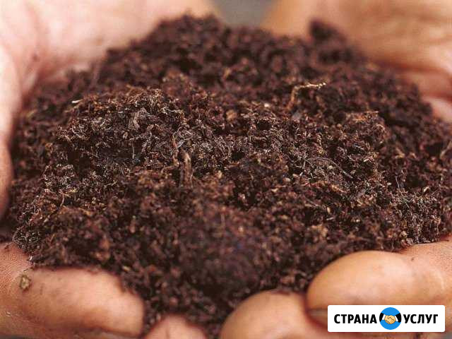 Торф Лесной - изображение 1