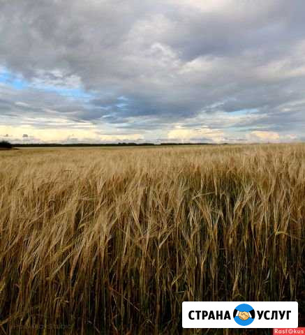 Фотосессии Белореченск - изображение 1