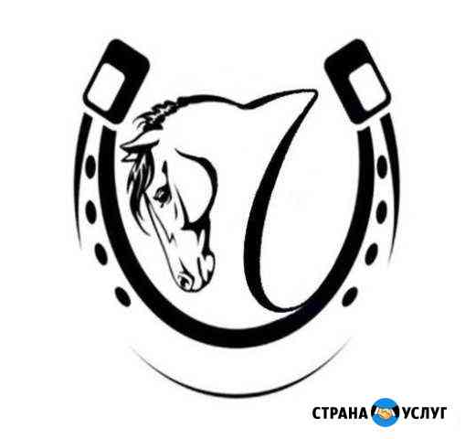 Обучение верховой езде Мурманск