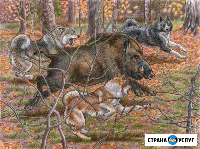 Услуги зсл лаек Сысерть - изображение 1