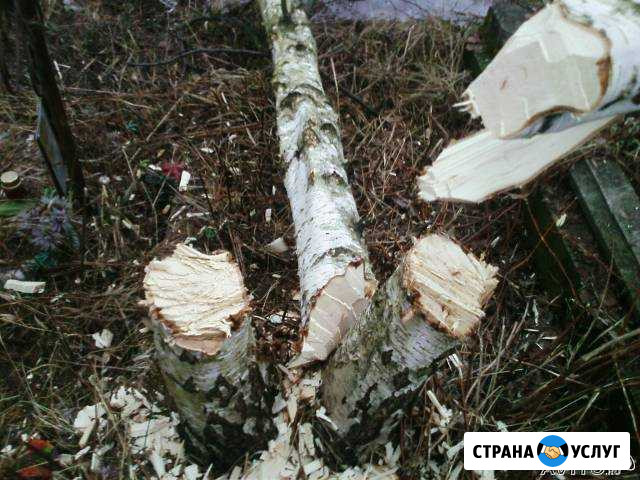 Вырубка деревьев, кустарника, захоронение животных Москва - изображение 1