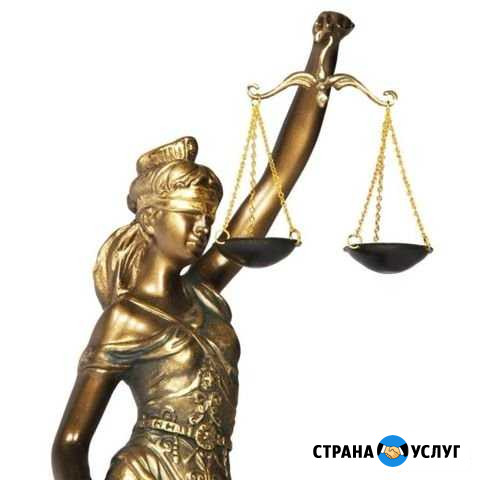 Оказание квалифицированных юридических услуг Кострома - изображение 1