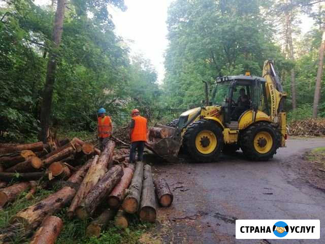 Услуги аренда Спецтехники г.Жуковский Жуковский - изображение 1
