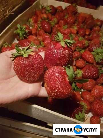 Байкальская клубника Иркутск - изображение 1