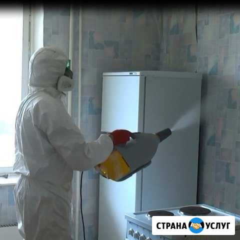 Уничтожение насекомых. ТехнологияХолодный туман Кемерово - изображение 1