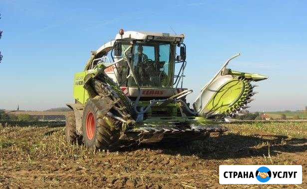 Уборка Силос Сенаж комбайнами claas ягуар Тихорецк - изображение 1