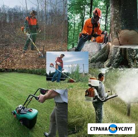 Покос травы, спил деревьев, уборка участков, вывоз Севастополь - изображение 1