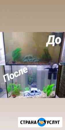 Чистка аквариума Краснодар