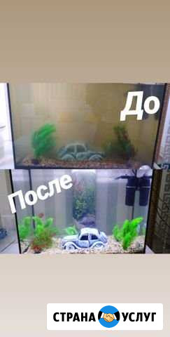 Чистка аквариума Краснодар - изображение 1