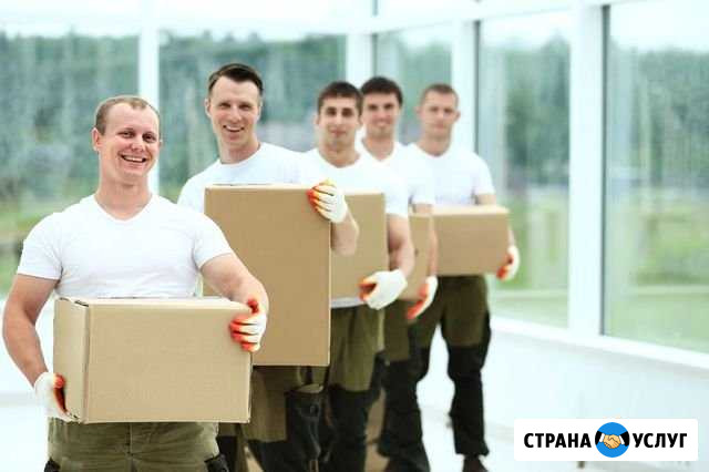 Переезды Грузчики Ярославль - изображение 1