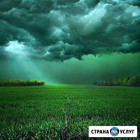 Вскопаю огород Жигулевск - изображение 1