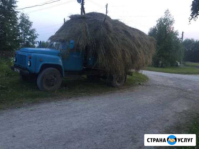 Сено Всеволодо-Вильва - изображение 1