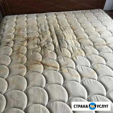 Химчистка мягкой мебели Тольятти - изображение 1