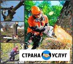 Спил деревьев,уборка,расчистка участка,вывоз Таганрог