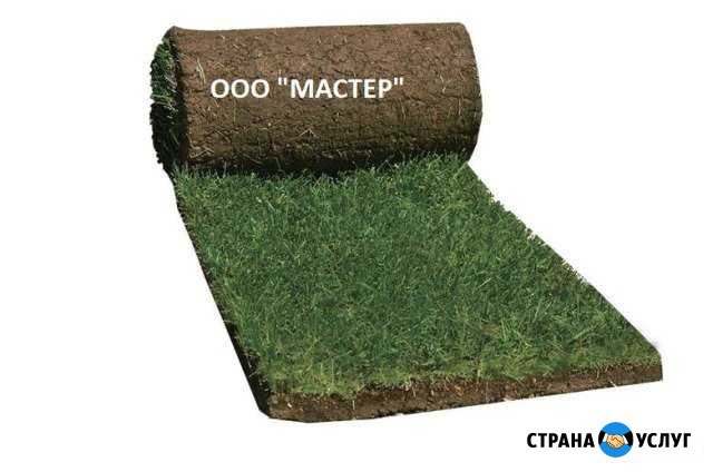 Настил рулонной травы, газон Йошкар-Ола - изображение 1
