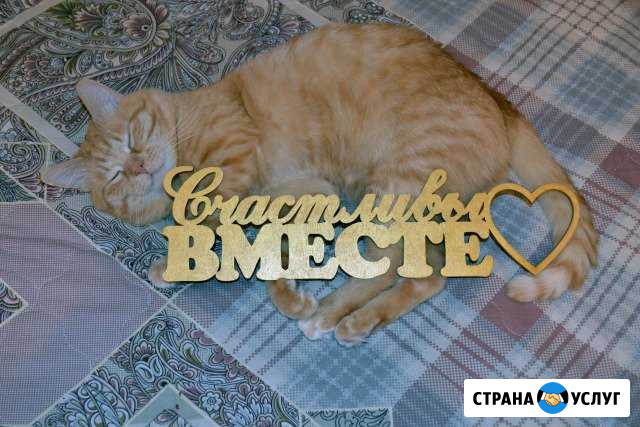 Декоративные изделия из фанеры Тамбов - изображение 1