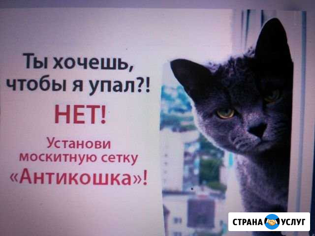 Стрижка кошек,собак,установка сетки от падения Ульяновск - изображение 1