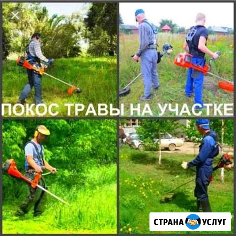 Покос травы, уборка участков, грузчики Каменск-Шахтинский - изображение 1