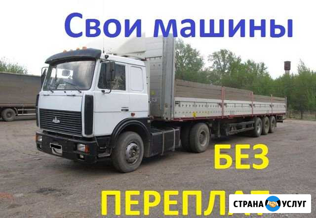 Длинномеры много,разные Киров - изображение 1