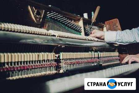 Настройщик пианино, рояля Рязань - изображение 1