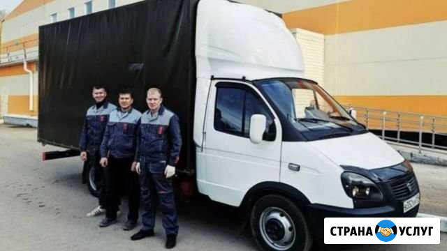 Переезды Грузчики Волгоград - изображение 1