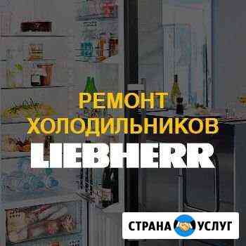 Ремонт холодильников liebherr (либхер) Москва