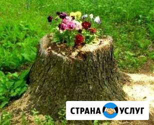 Удаление, выкарчевка пней Новосибирск - изображение 1