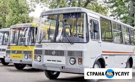 Автобусы на заказ.Пассажирские перевозки Новокузнецк - изображение 1