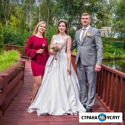 Ведущий + диджей Электросталь - изображение 1