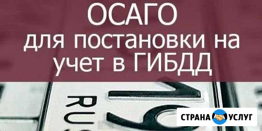 Осаго (Без допов) Лиски - изображение 1