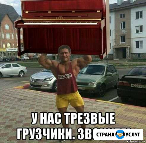 Грузчики/Разнорабочий Великий Новгород - изображение 1