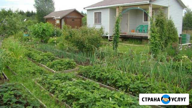 Благоустройство садов, огородов, дачных участков Липецк - изображение 1