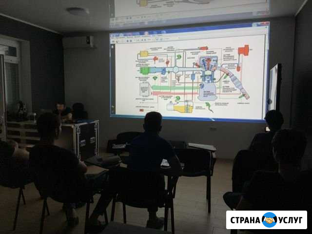 Обучение автодиагностике и автоэлектрике Грозный - изображение 1
