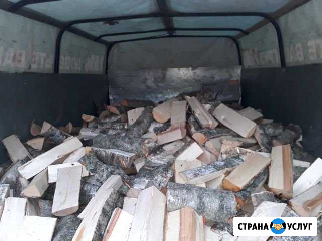 Дрова колотые Всеволожск - изображение 1