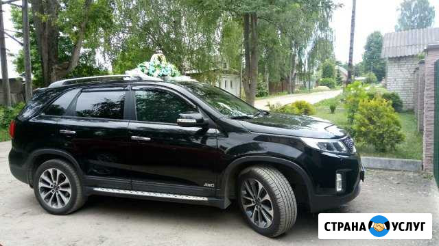 Пассажирские перевозки, свадьбы Ржев - изображение 1